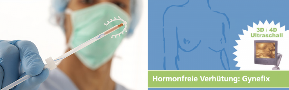 Contao Case Studys Contao Case Studys